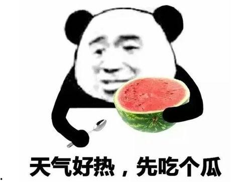 女生发个吃瓜的表情怎么回,女生吃瓜表情背后的趣味解读